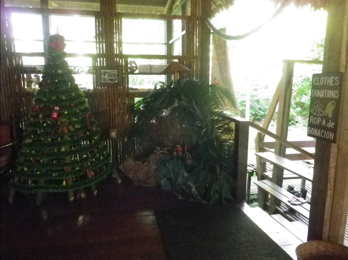 The Lodge19